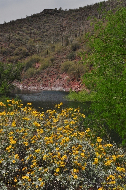 Pipeliine Canyon Trail 
